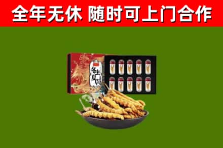 达孜回收冬虫夏草价格