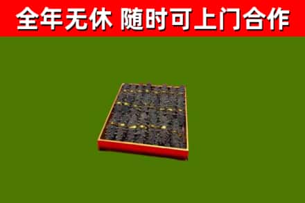 达孜回收海参